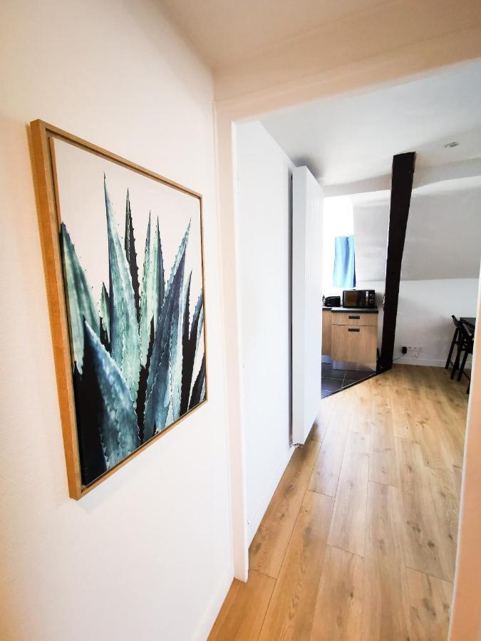 Appartement Cosy En Hypercentre - Le Petit Jules Діжон Екстер'єр фото